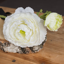 Load image into Gallery viewer, white ranunculous spray comprising of one open large flower head, one flower bud and delicate ranunculous leaves on a textured stem.
