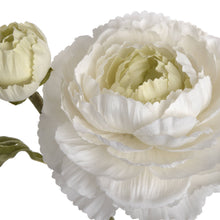 Load image into Gallery viewer, white ranunculous spray comprising of one open large flower head, one flower bud and delicate ranunculous leaves on a textured stem.
