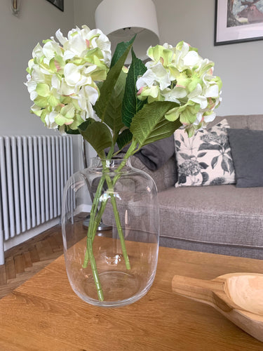 Tall curved glass vase styled on a coffee table with 3 hydrangea blooms placed in it