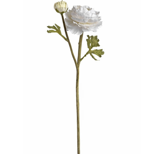 white ranunculous spray comprising of one open large flower head, one flower bud and delicate ranunculous leaves on a textured stem.