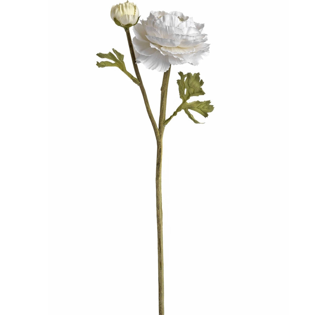 white ranunculous spray comprising of one open large flower head, one flower bud and delicate ranunculous leaves on a textured stem.