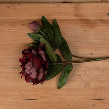 Load image into Gallery viewer, A stunning burgundy peony rose stem, chosen for its realism.   This wild summer faux flower looks beautiful in a single stem vase or just pop a few of them together in a large vase for a stunning classic look for Spring and Summer.
