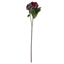 Load image into Gallery viewer, A stunning burgundy peony rose stem, chosen for its realism.   This wild summer faux flower looks beautiful in a single stem vase or just pop a few of them together in a large vase for a stunning classic look for Spring and Summer.
