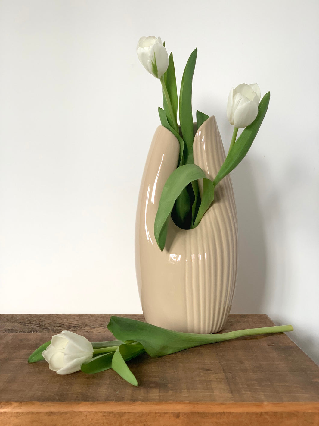 A gloss willow coloured contemporary case with a curved opening at the front and ribbed detailing half way around the vase and the other half smooth gloss