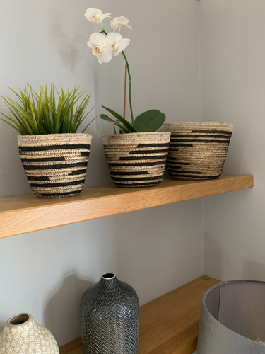 styled on a shelf 3 woven baskets 3 different sizes. the baskets are natural coloured with a black stripe. the middle one has a white orchid in it and 1one with a short faux grass plant 